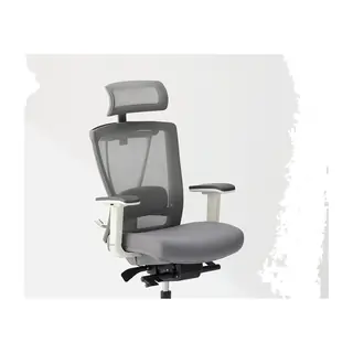 Autonomous ErgoChair Pro