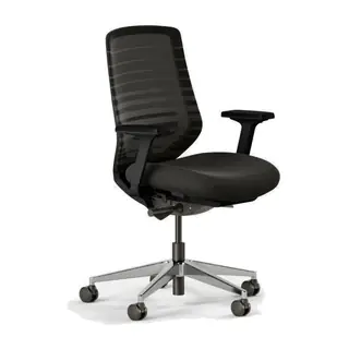 Branch Ergonomic Chair